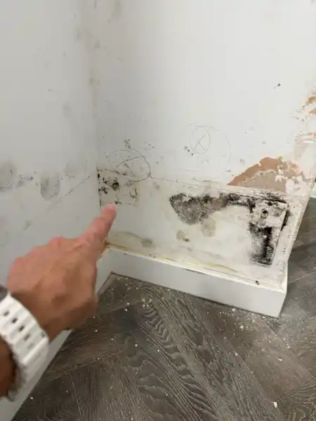 damp on wall costa plumber